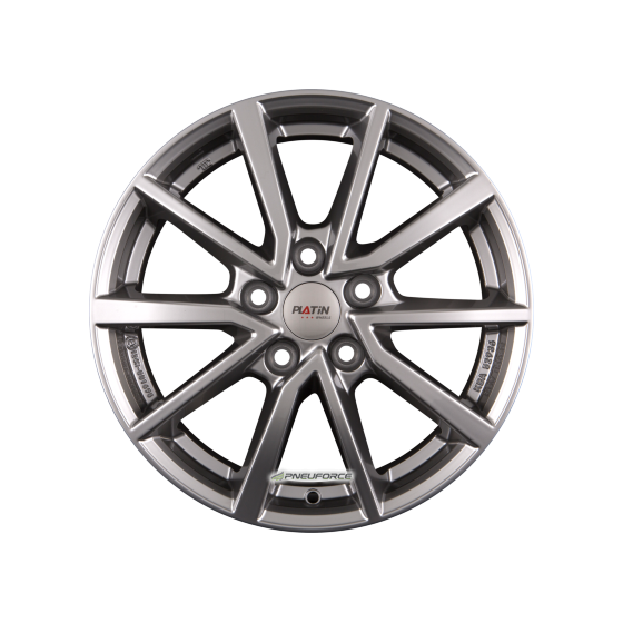 PLATIN P 95 Metall Silber