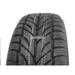 PAXARO WINTER 175/65 R15 84 T
