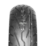 DUN. 190/60 R17 78 H TL D251