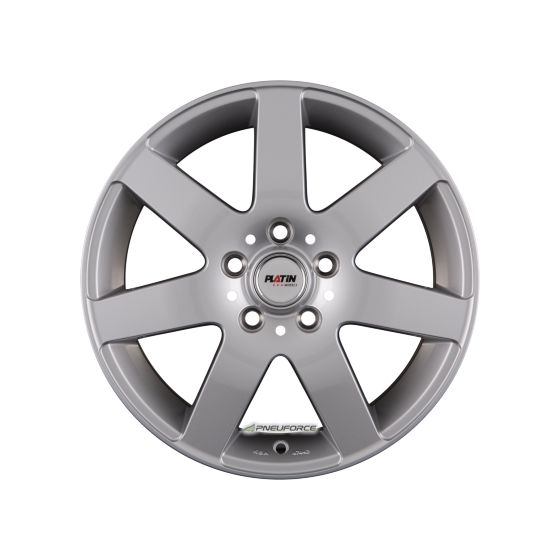 PLATIN P 04 Silber